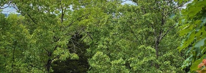 The Park At Foxborough Resort