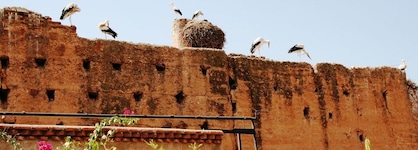 Riad Carina
