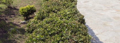 Luzia Agriresort
