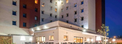 Ibis Plzen