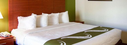 Surestay Hotel By Best Western St. Pete Clearwater Airport