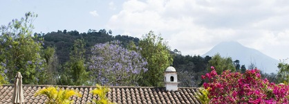 Posada De Los Leones