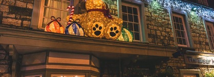 The Bear Hotel