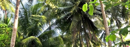 Sea Star Resort Phu Quoc