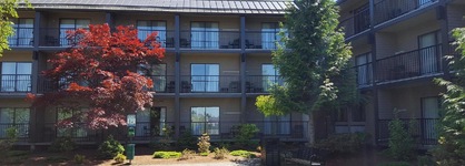 Best Western Northgate Inn