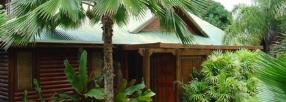 Le Jardin Des Palmes