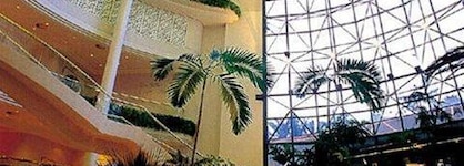 Sheraton Voyager Resort & Spa