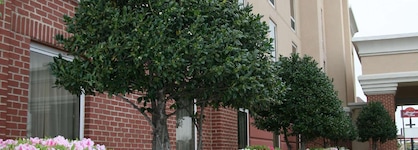 Hampton Inn Shreveport Airport