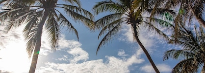 Bamburi Beach Hotel - All Inclusive