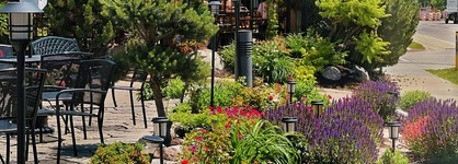 Centerstone Plaza Hotel Soldiers Field - Mayo Clinic Area