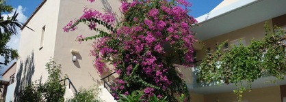 Selini Suites