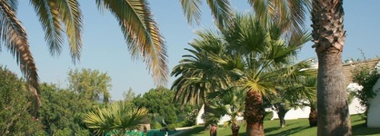 Capitalmoura Mouragolf Village