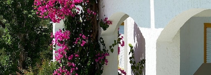Apollon Hotel Apartments