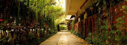 The Green Path Eco