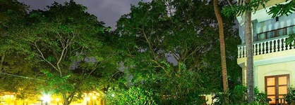 Siddhalepa Ayurveda Resort - All Meals, Ayurveda Treatment, Yoga