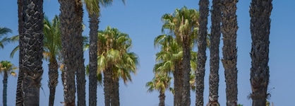 Neptune Luxury Resort