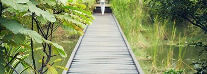 Jetwing Vil Uyana, A Luxury Reserve