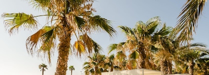 Gran Palas Experience Spa & Beach Resort