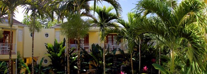Negril Palms
