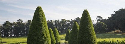 Lancemore Lindenderry Red Hill
