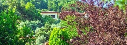 Natur-Med Hot Springs And Health Resort