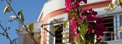 Heliotrope Hotels