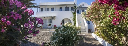 Thira's Dolphin