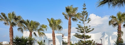 Mr & Mrs White Paros