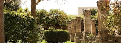 Hotel Del Campo