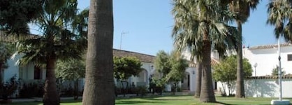 La Codorniz