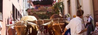 Hotel Rural Orotava