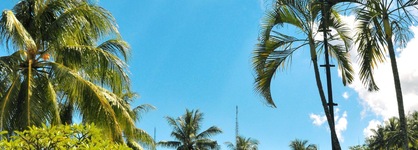 Puri Bunga Senggigi