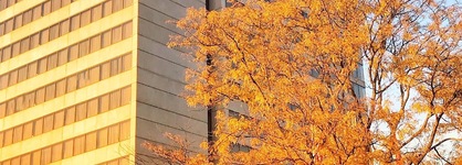 Doubletree By Hilton Hotel Kansas City - Overland Park