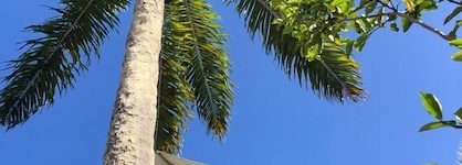 Hotel Morro De São Paulo