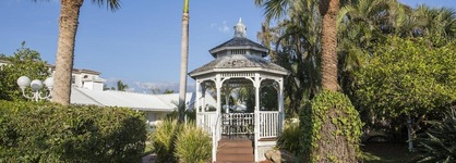 Lemon Tree Inn