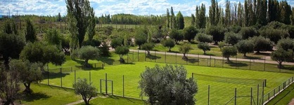 Algodon Wine Estates And Champions Club