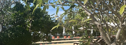Pp Princess Resort