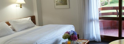 Hotel Del Bosque
