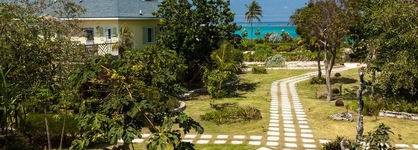 Pineapple Fields