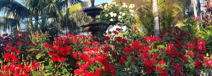 Mclaren Vale Motel & Apartments