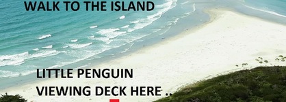Diamond Island Resort & Bicheno Penguin Show