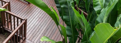 Hibiscus Resort & Spa