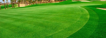 Jaz Little Venice Golf Resort