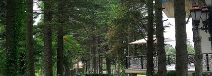 Ng Sapanca