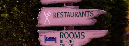 Buddy Dive Resort