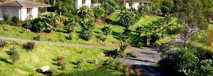 Avalon Resort