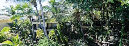 Hibiscus Boutique Hotel