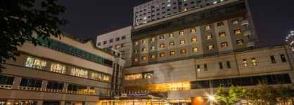 Hotel International