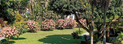 Fish Tail Lodge