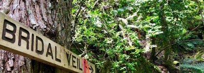 Lemonthyme Wilderness Retreat
